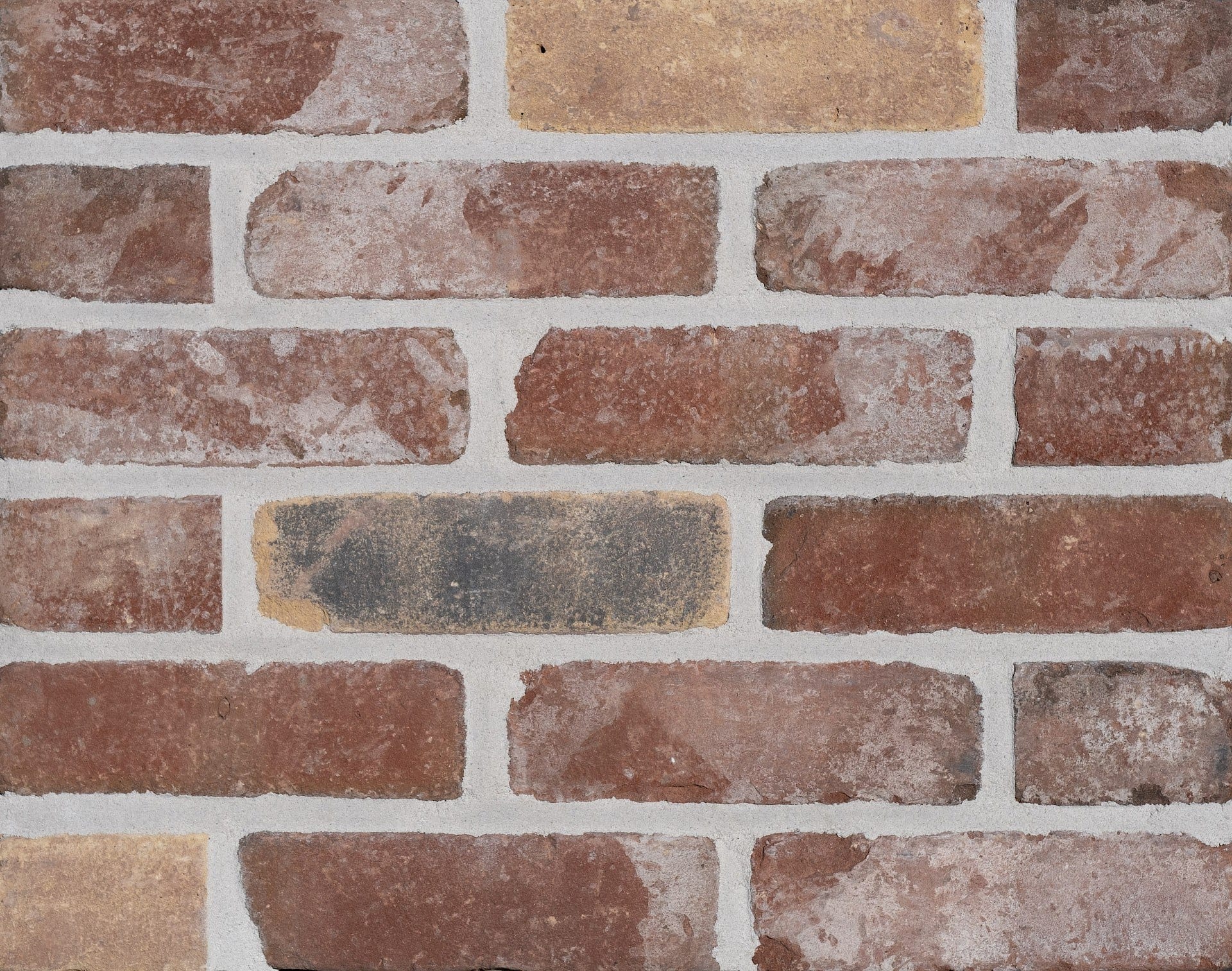 A photo of the Camtech Rustica Old Renoir brick in use.