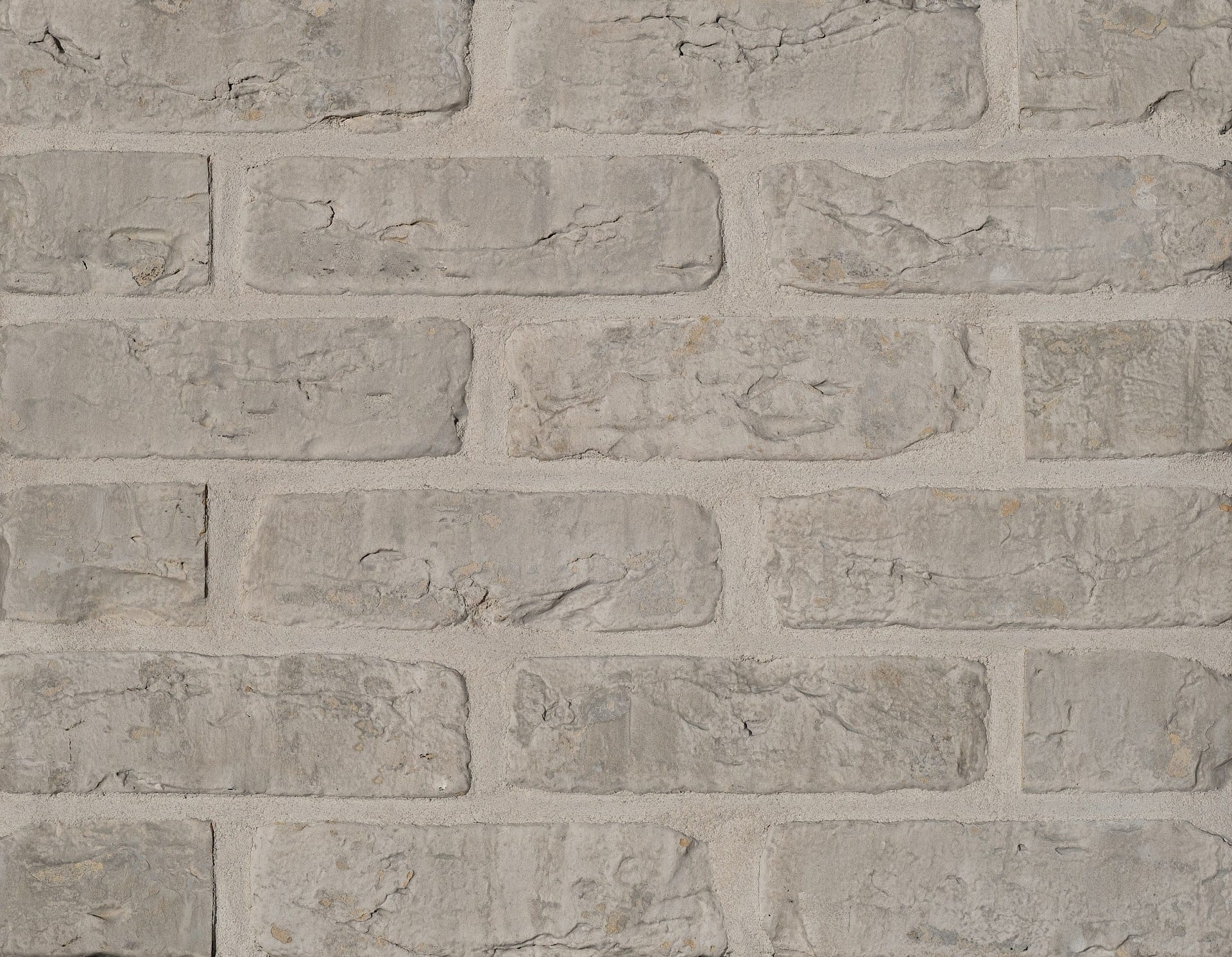 A photo of the Camtech White Grey Rustica brick in use.