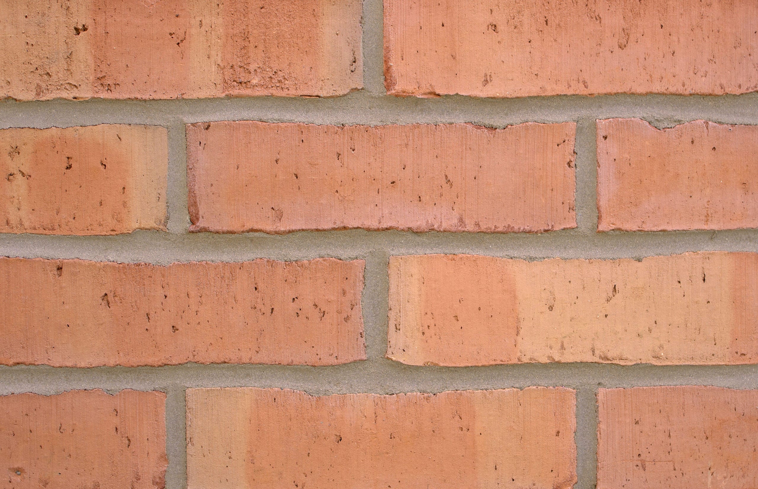 A photo of the Forterra EcoStock Shelton Mellow brick in use.