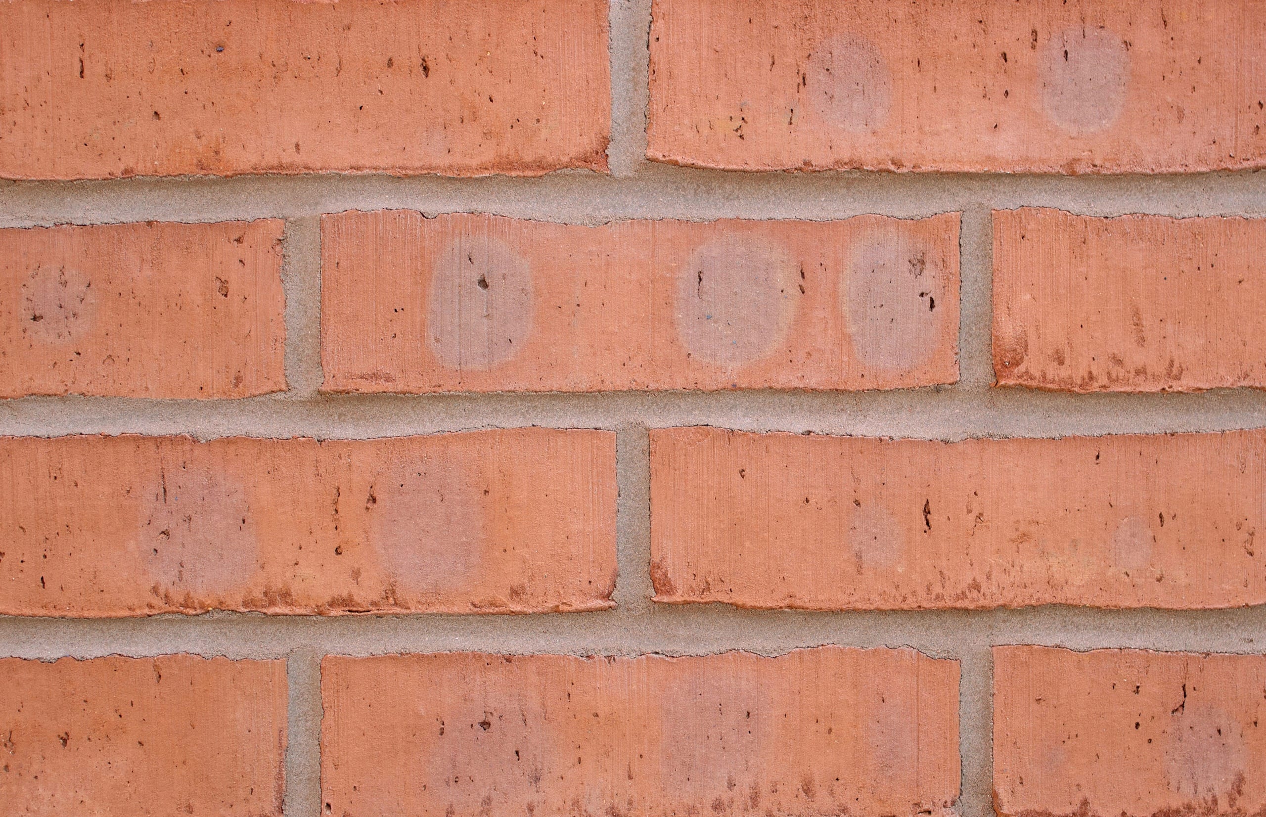 A photo of the Forterra EcoStock Shelton Red Multi brick in use.